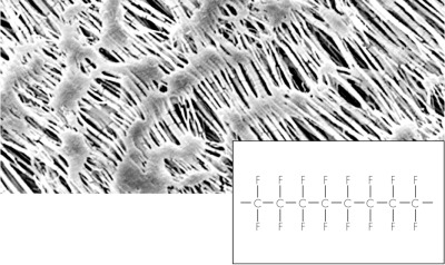 Hydrophobic PTFE Membrane Filters / Type 11807